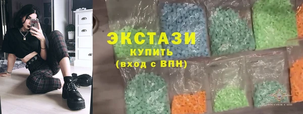 стаф Алзамай