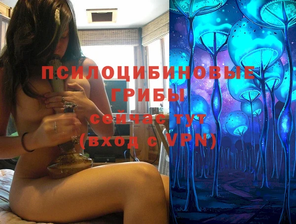 ECSTASY Армянск