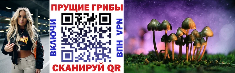 дарк нет телеграм  Ханты-Мансийск  Галлюциногенные грибы ЛСД 